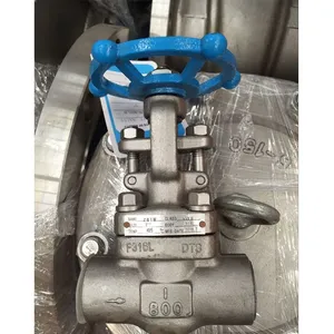 F304 Stainless ANSI Forged Globe Valve for Chemical Industry With Flanged ASME B16.5 thumbnail-3