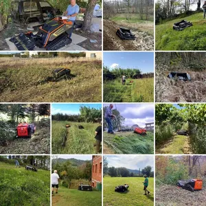 Vigorun MTSK800 Industrial 420cc Remote Control Flail Mower CE EPA Euro5 Gasoline Engine Grass Cutting Machine thumbnail-5
