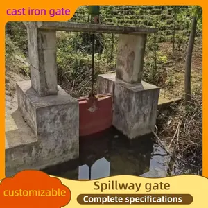 Weather Resistant Hydropower Spillway Gate High Precision Water Stop Gate for Long-term Dam Operation thumbnail-5