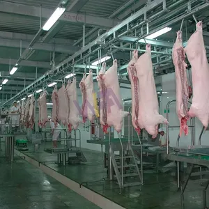 Stainless Steel Pig Bleeding Trough Automatic Pig Hair Removing Machine Pig Slaughter Equipment For Sale thumbnail-1
