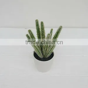 High Quality Artificial Plant Succulent Plant Tropical Plant thumbnail-2