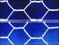 HEXAGONAL WIRE MESH thumbnail-1