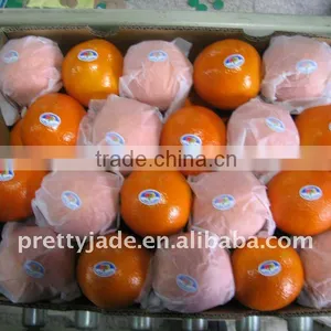 New Chinese Fresh Navel Orange thumbnail-1