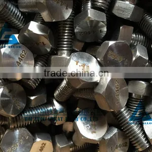 Stainless Steel Fasteners 2205 Hex Bolt and Nut thumbnail-1