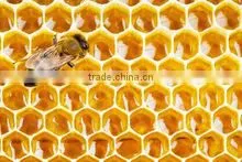 HONEY thumbnail-2
