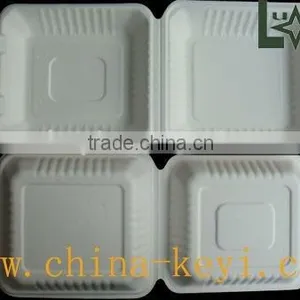 Biodegradable Food Box thumbnail-1