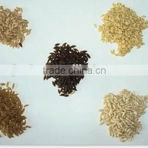 Single Screw Extruder Automatic Nutritional Rice Equipment thumbnail-6