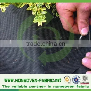 PP Landscape Fabric Weed Control Fabric pp Ground Cover thumbnail-1