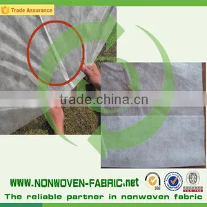 Agriculture Nonwoven Fabric Wholesale/UV Resistant PP Nonwoven thumbnail-3