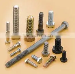 Screws thumbnail-1