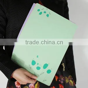 XG-5004 a4 PP File Folder Wholesale File Folder Cheap Price Plastic File Folder thumbnail-1