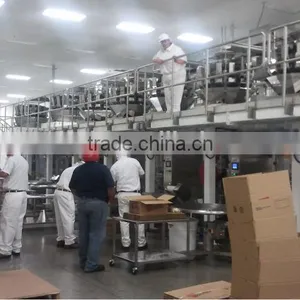 Fast Back Horizontal Motion Conveyor Design for Potato Chips Conveying thumbnail-2