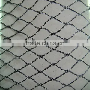 China Factory Bird Net for Fruit Trees,anti-bird Net for Vineyard,agricultural Anti-bird Net thumbnail-2