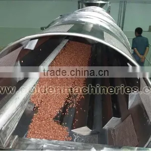 High Automatic Salty Machine Peanut Salting Production Snack Salting Machine thumbnail-1
