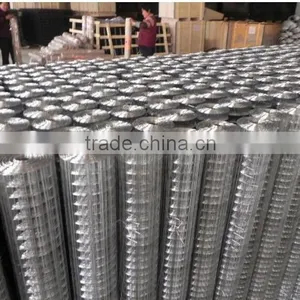 Low Price Electro Galvanized Welded Wire Mesh Made in China thumbnail-2
