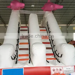 Amazing Customized Swimming Pool Water Slide , Portable Kids Water Slide thumbnail-2