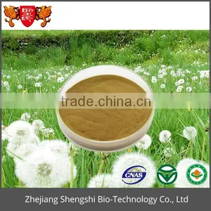High Quality Artificial Dandelion Flower Extract, Dandelion Extract Powder, Dried Dandelion Powder thumbnail-1