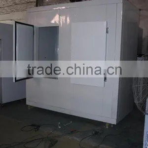 Insulated Refrigerated Ice Storage Room thumbnail-4