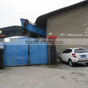 Zigong My Dinosaurs Culture And Arts Co., Ltd. company overview - view 2 thumbnail