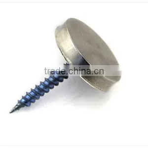 Mirror Nail for Advertising Plate, Stainless Steel Acrylic Advertising Nail thumbnail-5