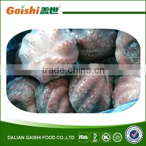 Frozen Raw Octopus for Sale thumbnail-1