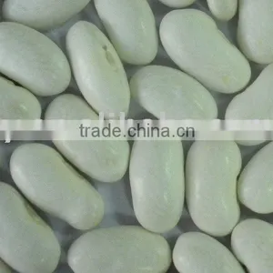 New Crop 2010 White Bean thumbnail-1