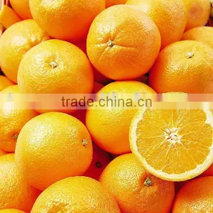 Fresh Navel Orange thumbnail-1