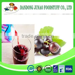 Common Cultivation Wild Source Black Currant for Drinking Juice thumbnail-1