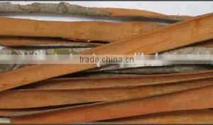 Cassia Split Thin & High Oil Content thumbnail-1