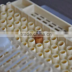 Apiculture Tools Beekeeping Queen Rearing thumbnail-2