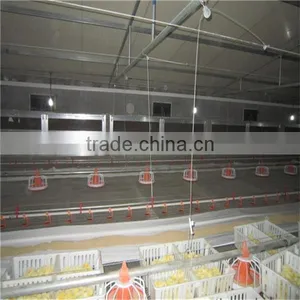 Feeding System for Chicken Farm thumbnail-4
