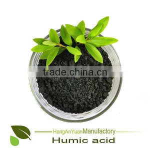 Amino Acid and Humic Acid Gibberellin Liquid Fertilizer thumbnail-3