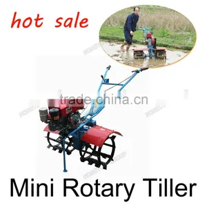 Factory Price Hand Tiller Tractor Rotary Hoe Manufacture Mini Plough Machine 2.21-3kw 1Z-20 thumbnail-1
