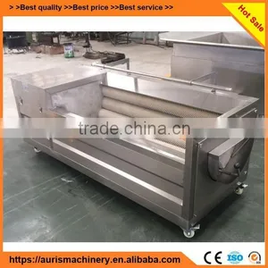 Hot Selling Automatic Sweet Potato Radish Fruit and Vegetable Brush Washer thumbnail-4