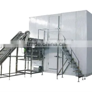 Iqf Tunnel Freezer Potato Chips Machine Blast Freezer thumbnail-1