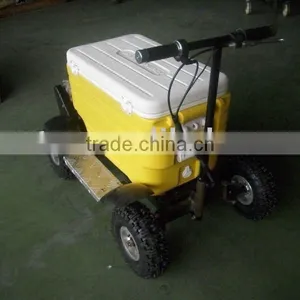 ELECTRIC MOTOR SCOOTER SX-G110 thumbnail-1