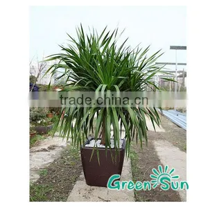 New Small Pots Wholesale Garden Flower Planter thumbnail-3