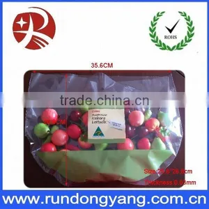 Hange Plastic Fruit Packing Protection Bag With Air Holes thumbnail-1