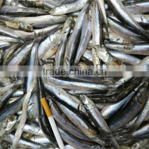 2016 High Quality Sea Frozen Anchovy thumbnail-5