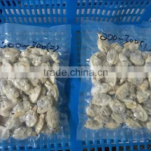 Fully Cooed Short Necked Clam Meat thumbnail-6