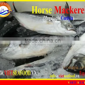 FROZEN W/R HORSE MACKEREL thumbnail-1