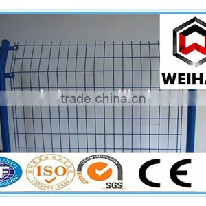 Hot Dipped Galvanized Welded Wire Mesh in Roll Used for Construction thumbnail-1