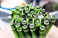 Triple Q International Co.,ltd. company overview - view 2 thumbnail