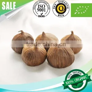 Healthy Natural Food Herb Solo Black Garlic 1 Bulb/bag thumbnail-1
