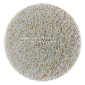 Good Quality Dehydrated Garlic Granules From China With KOSHER Certificated thumbnail-4