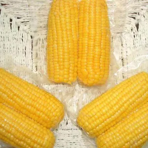 Quality Best Price Advanced Quality Natural Fresh Sweet Corn Food Prices thumbnail-4