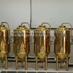 300L/ 2BBL Titanium Plating Stainless Steel Beer Fermentation Tank Beer Fermenter thumbnail-1