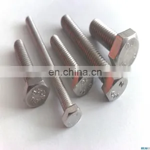 Stainless Steel Nut M36 thumbnail-1