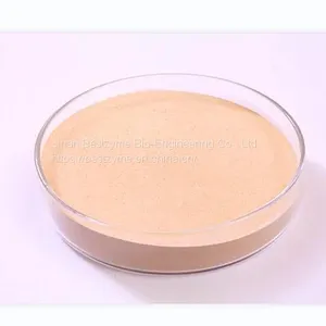 Feed Enzyme thumbnail-1