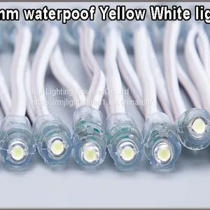 LED Decoration Light 9mm 12mm LED Pixel Strings White Color 5V 12V Lightings For Outdoor Signage thumbnail-3